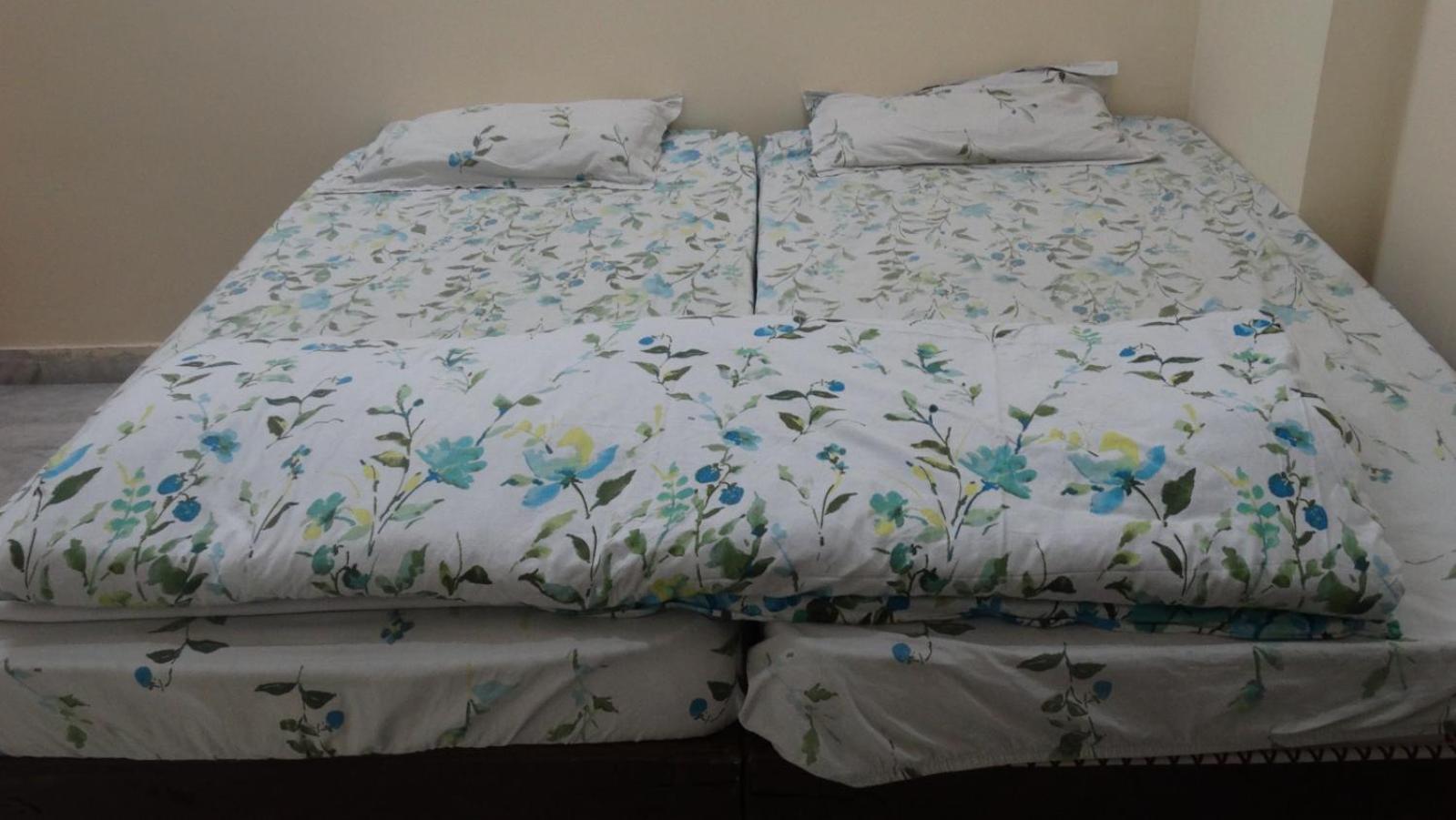 Om Trance Homestay Jaipur Ngoại thất bức ảnh